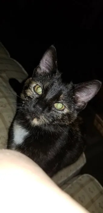 Williams Veterinary Clinic Picture 5