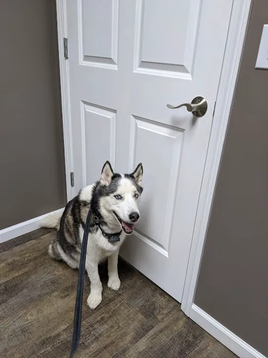 Williams Veterinary Clinic Picture 6