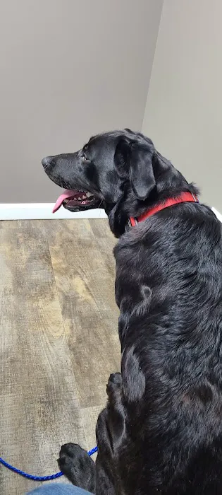 Williams Veterinary Clinic Picture 7