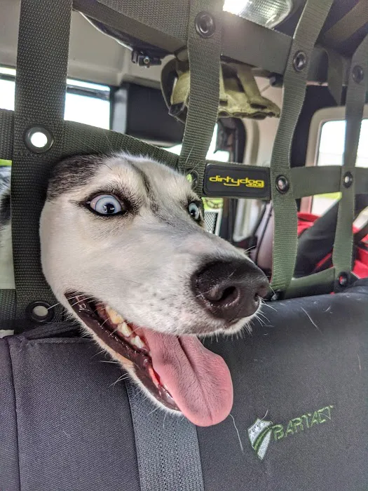 Williams Veterinary Clinic Picture 8