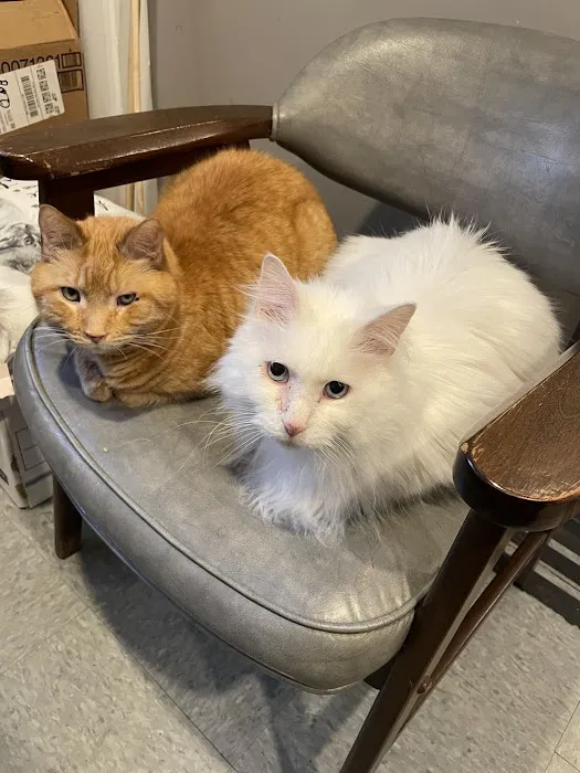 Animal Practice Of Marion Hospital & Boarding Picture 1