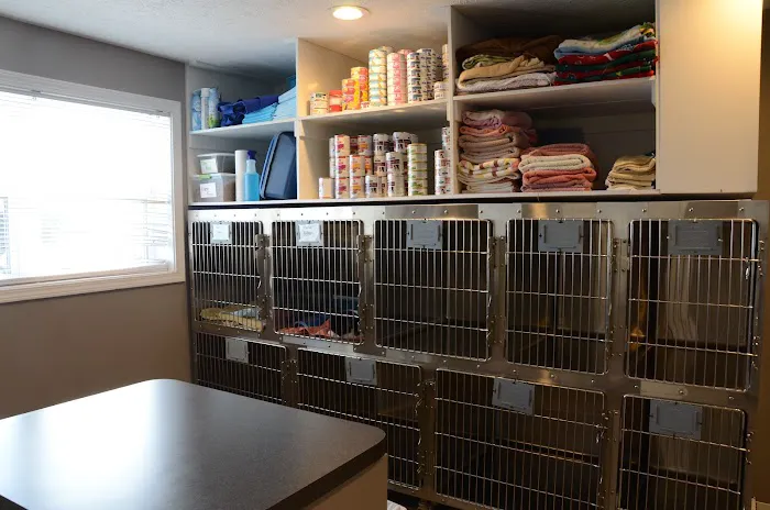 Animal Practice Of Marion Hospital & Boarding Picture 5