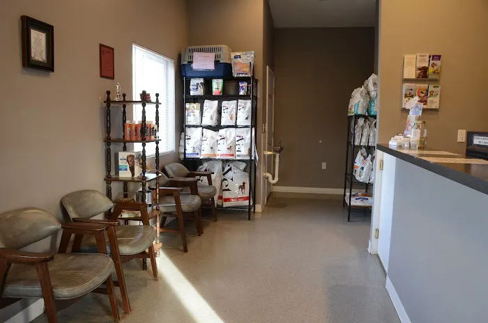 Animal Practice Of Marion Hospital & Boarding Picture 4