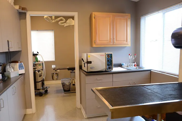 Animal Practice Of Marion Hospital & Boarding Picture 2