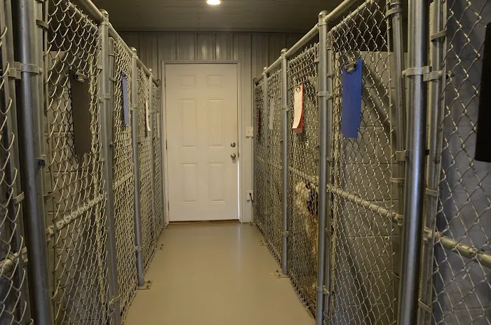 Animal Practice Of Marion Hospital & Boarding Picture 3