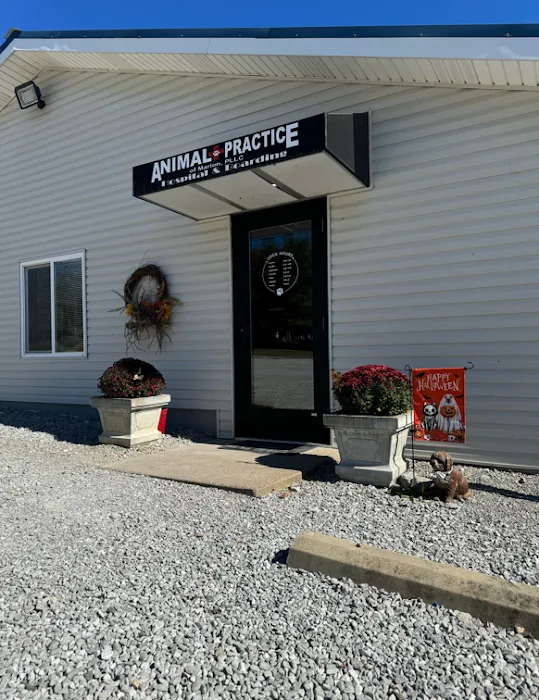 Animal Practice Of Marion Hospital & Boarding Picture 8