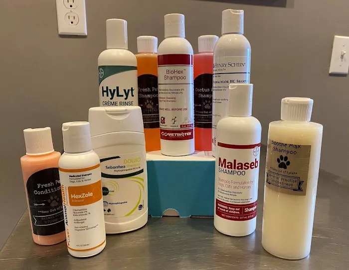 Animal Practice Of Marion Hospital & Boarding Picture 7