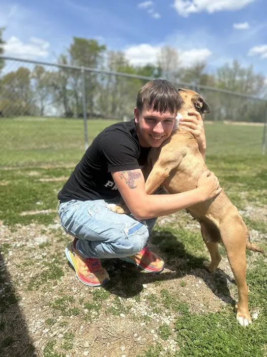 Animal Practice Of Marion Hospital & Boarding Picture 10