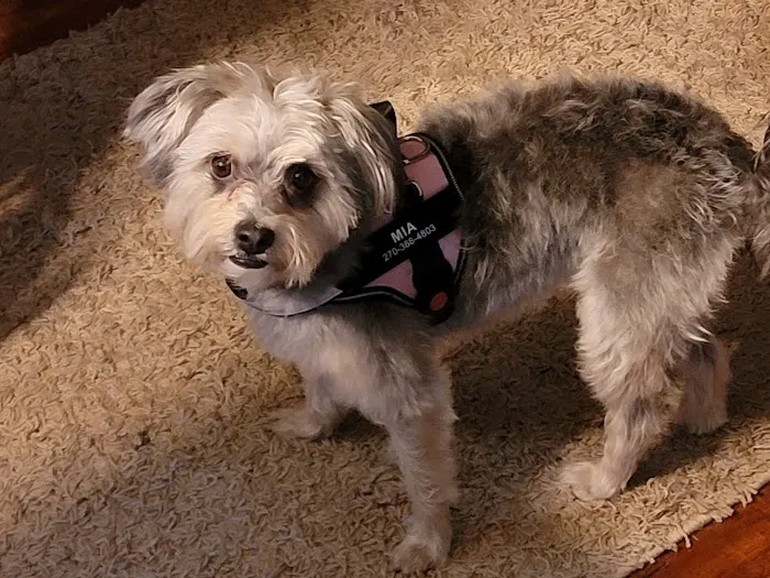 Crittenden County Animal Clinic Picture 3