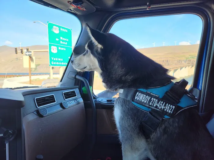 Crittenden County Animal Clinic Picture 4