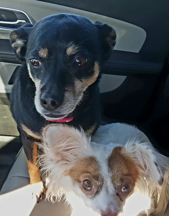 Crittenden County Animal Clinic Picture 2