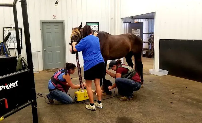 Crittenden County Animal Clinic Picture 5
