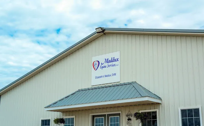 Crittenden County Animal Clinic Picture 10