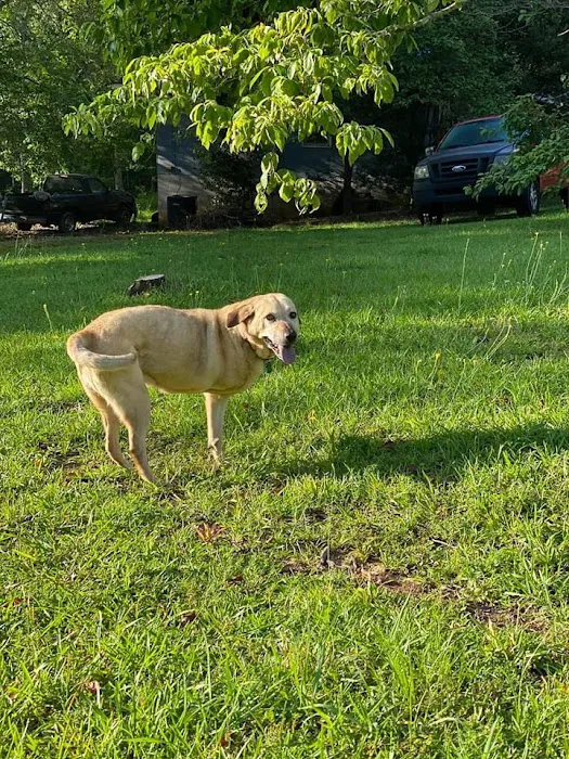 Village Veterinary Clinic Picture 5