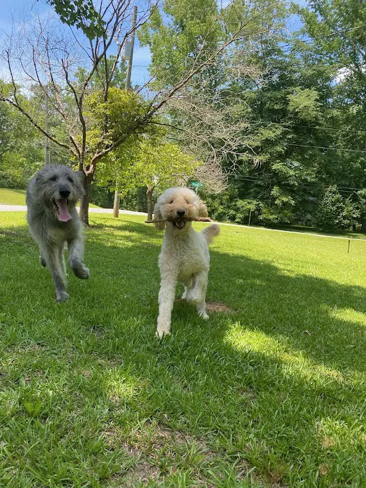 Village Veterinary Clinic Picture 6