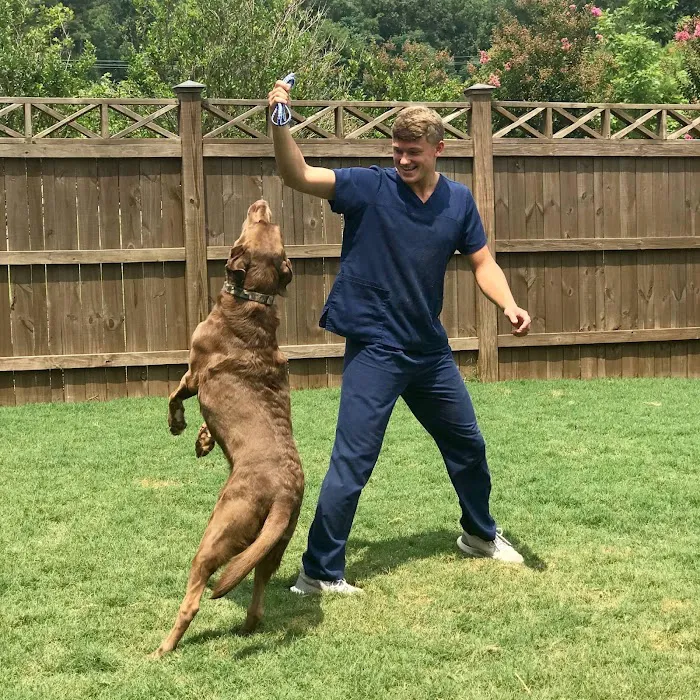 Village Veterinary Clinic Picture 10