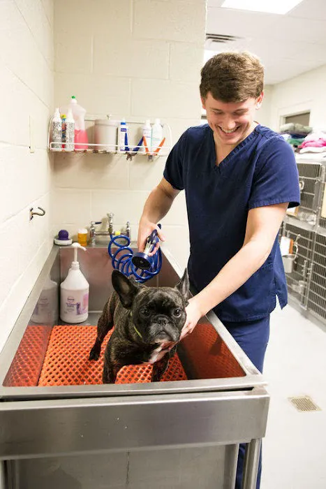 Village Veterinary Clinic Picture 8