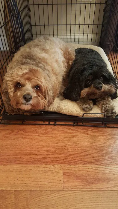 North Gay Street Veterinary Clinic Picture 3