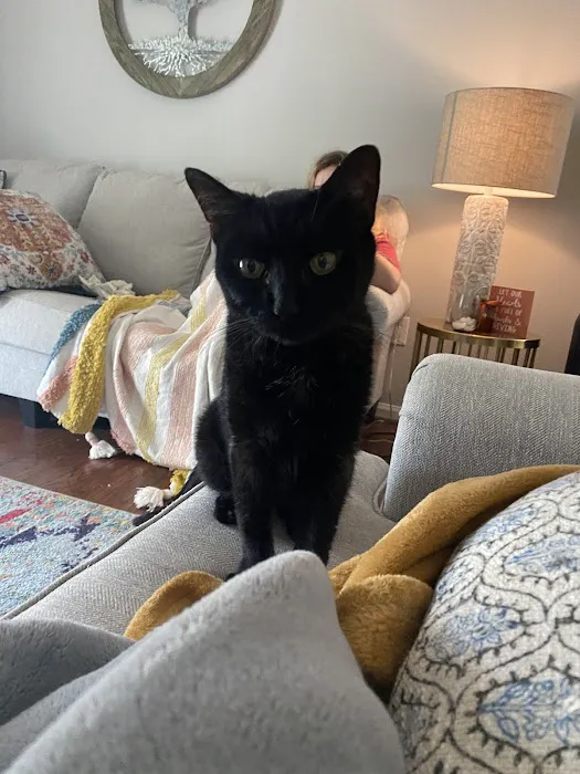 PetVet Animal Health Center Picture 2