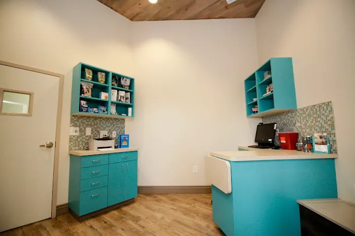 PetVet Animal Health Center Picture 8