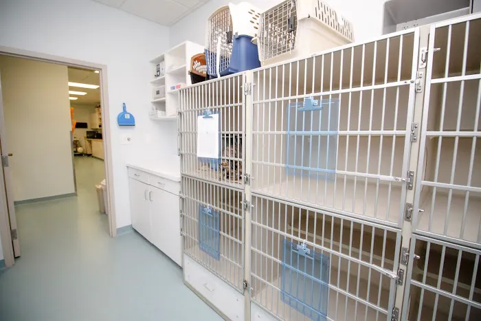 PetVet Animal Health Center Picture 6