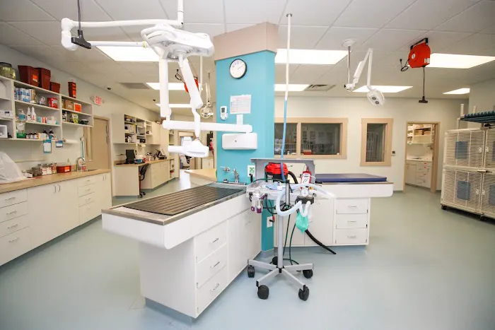 PetVet Animal Health Center Picture 9