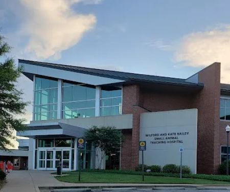 Wilford & Kate Bailey Small Animal Teaching Hospital