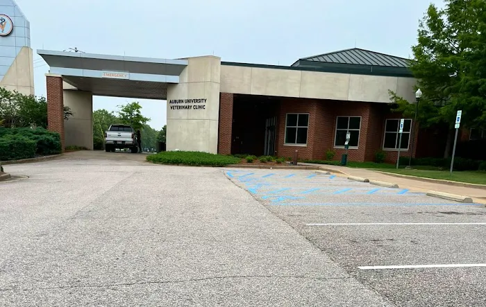 Auburn University Veterinary Clinic Picture 6
