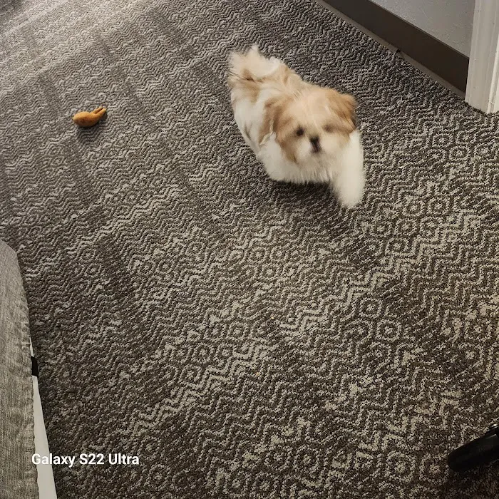 Auburn University Veterinary Clinic Picture 9