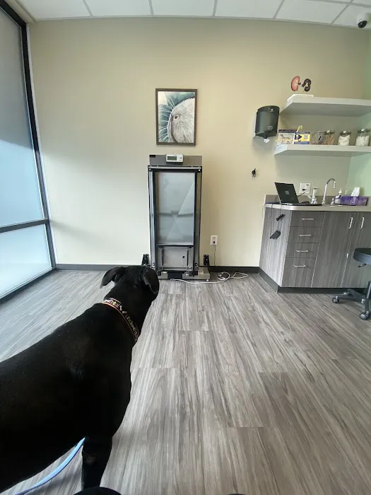 Northside Animal Hospital Picture 2