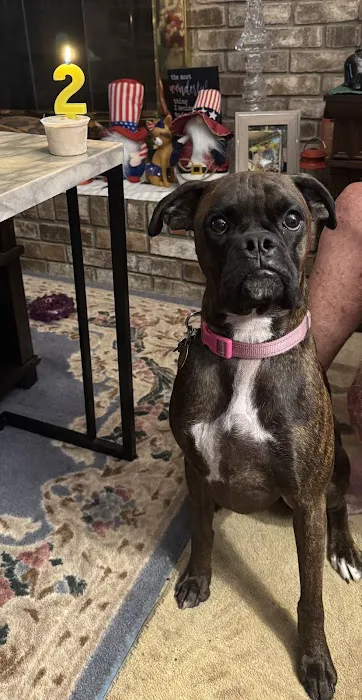 Northside Animal Hospital Picture 6