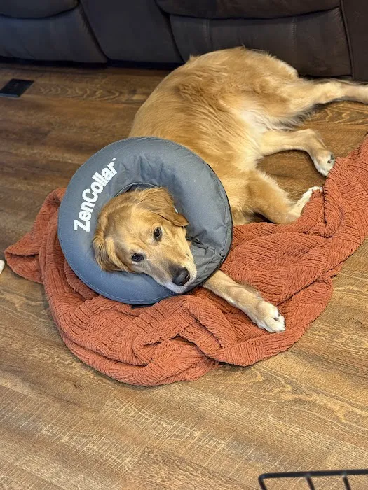 Northside Animal Hospital Picture 8