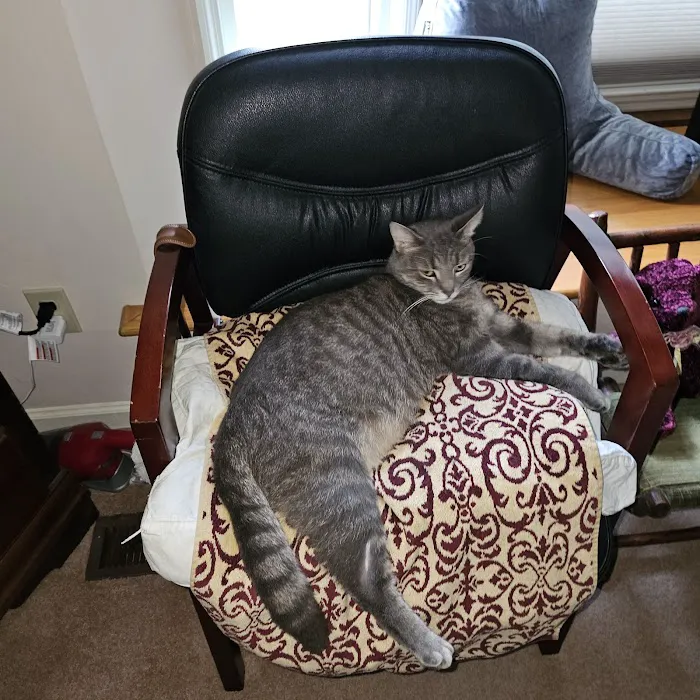 Northside Animal Hospital Picture 9