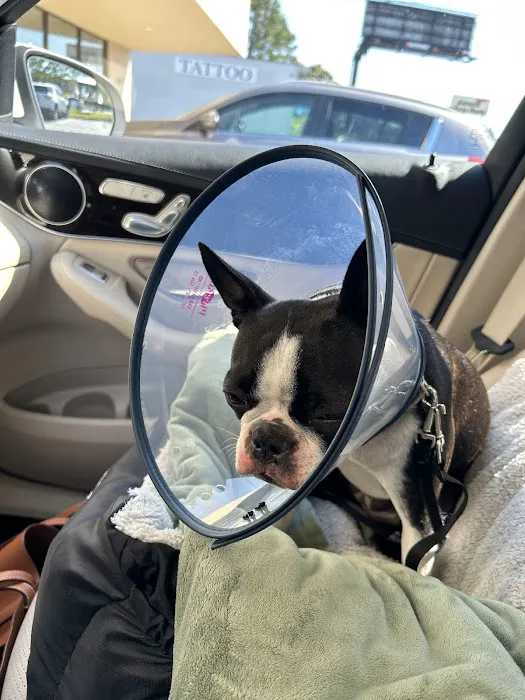 Northside Animal Hospital Picture 10