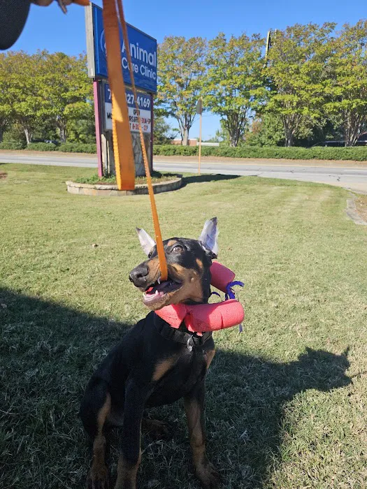 Animal Care Clinic Picture 1