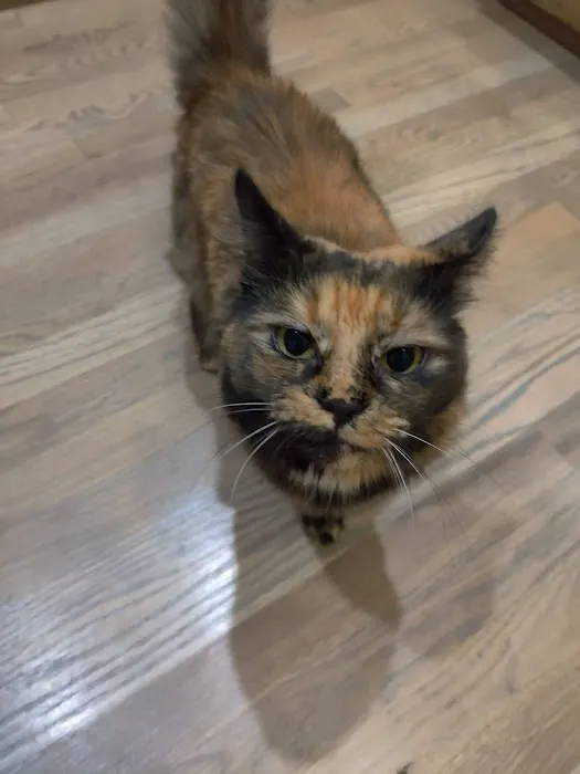 Animal Care Clinic Picture 4