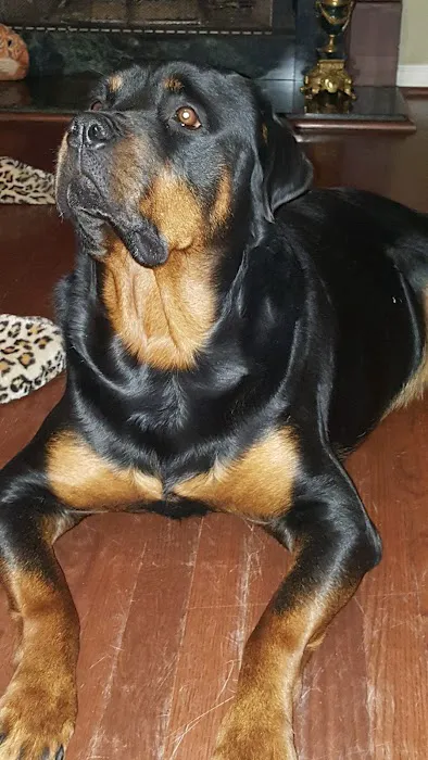 Animal Care Clinic Picture 3