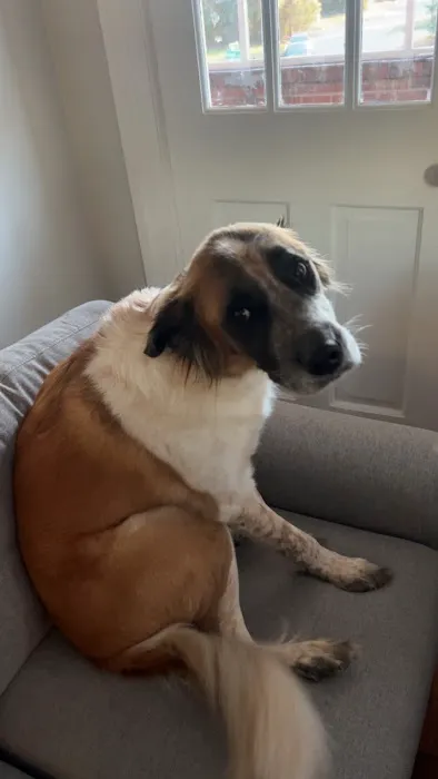 Animal Care Clinic Picture 2