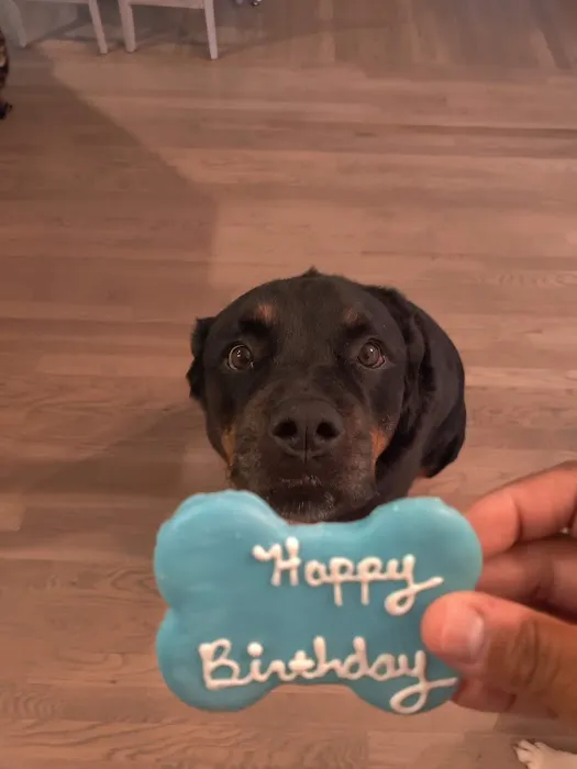 Animal Care Clinic Picture 8