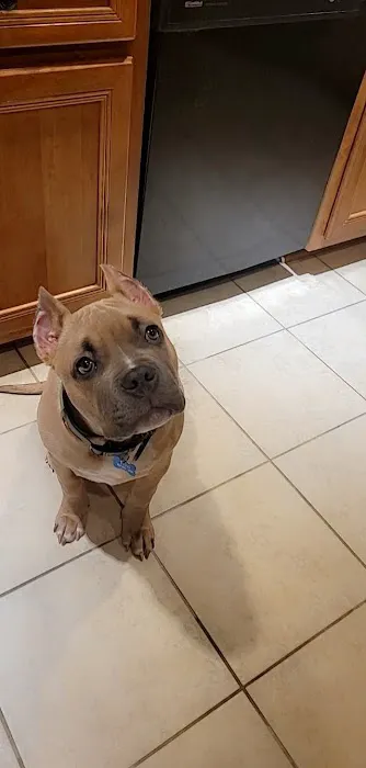 Animal Care Clinic Picture 6