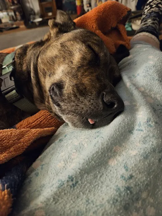 Animal Care Clinic Picture 5