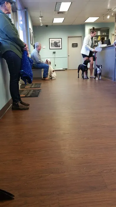 Macon Road Veterinary Clinic Picture 3