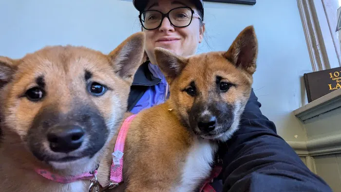 Macon Road Veterinary Clinic Picture 5