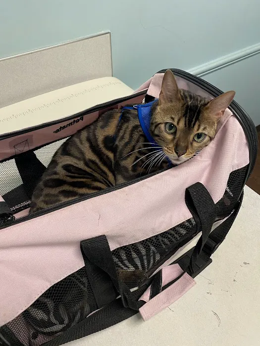 Macon Road Veterinary Clinic Picture 6