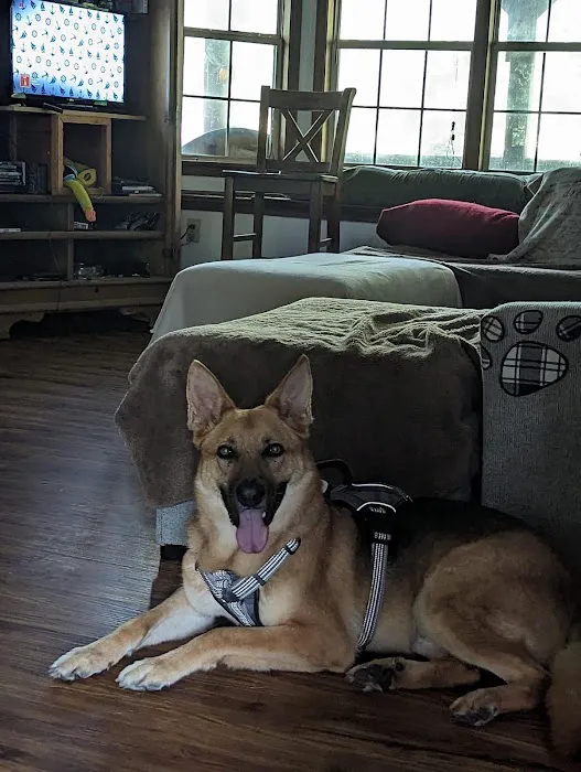 Macon Road Veterinary Clinic Picture 7