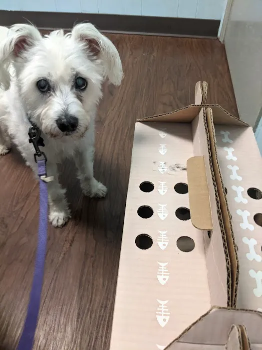 Macon Road Veterinary Clinic Picture 8