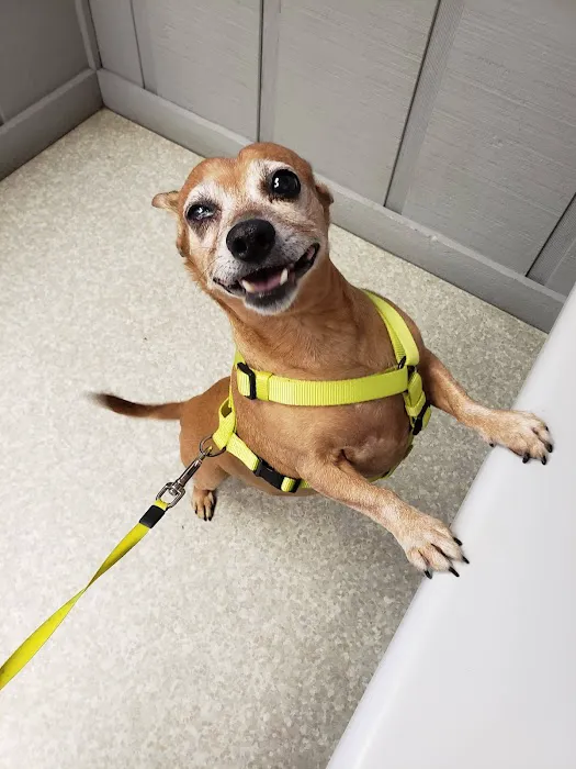 River Road Animal Clinic Picture 3