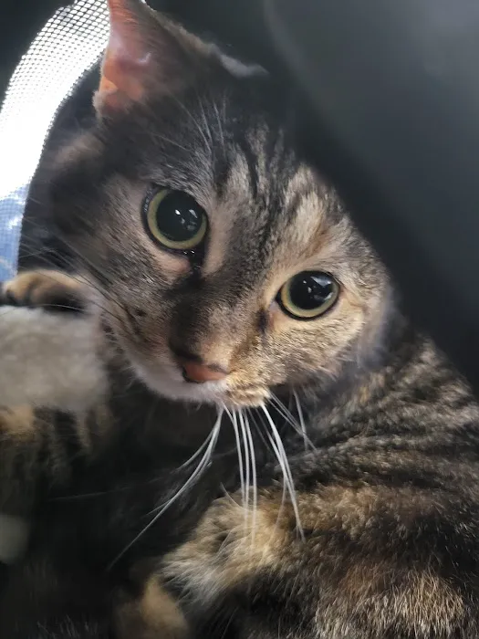 River Road Animal Clinic Picture 2