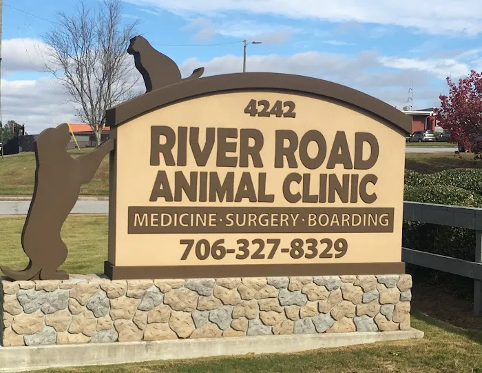 River Road Animal Clinic Picture 7