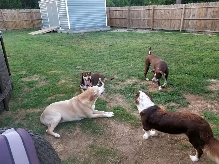 River Road Animal Clinic Picture 6